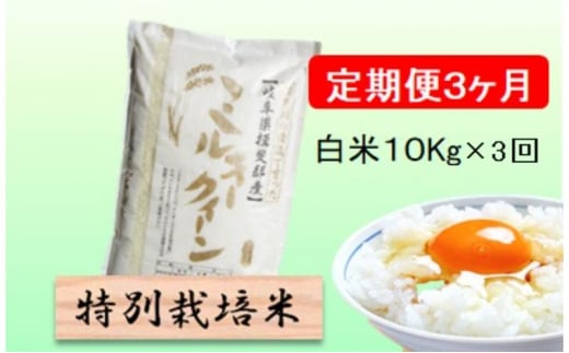 特別栽培米☆[定期便] 3カ月☆毎月 白米5kg 【ハツシモ】 米 お米 白米 コメ ご飯 定期 岐阜県 池田町 [№5644-1552] - 岐阜県 池田町｜ふるさとチョイス - ふるさと納税サイト