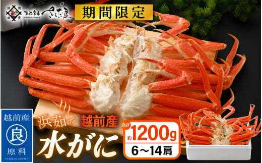 【期間限定】浜茹で 越前産 水がに 1200g（6～14肩） 脱皮したてのずわいがに【福井県 越前町 かに カニ 蟹 ずわいがに ズワイガニ 雄 ズボガニ 水ガニ かに足  冷蔵 越前ガニ 越前かに 越前カニ】【2025年2月20日以降 順次発送予定】 [e04-x027] 1436127 - 福井県越前町