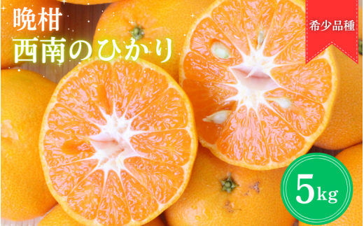 【先行予約】晩柑 西南のひかり　5kg【12月上旬以降発送予定】 / 和歌山県 田辺市 みかん 晩柑みかん 柑橘【mrn010】 1028501 - 和歌山県田辺市