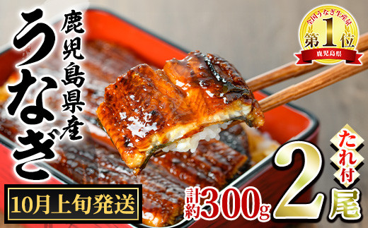 【0124326a-2510】＜10月上旬発送予定＞東串良町のうなぎ蒲焼(無頭)(2尾・計約300g・タレ、山椒付) うなぎ 高級 ウナギ 鰻 国産 蒲焼 蒲焼き たれ 鹿児島 ふるさと 人気【アクアおおすみ】
