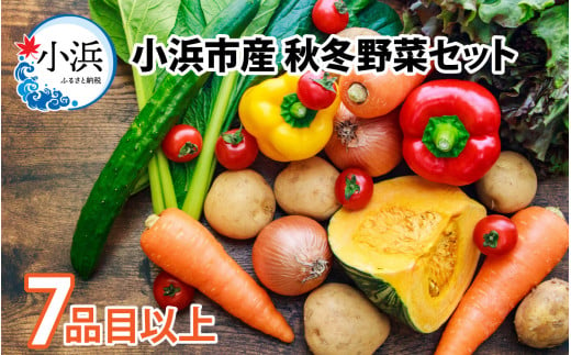 【先行予約】小浜市産 秋冬野菜セット 7品目以上【2024年11月より順次発送】 1450616 - 福井県小浜市