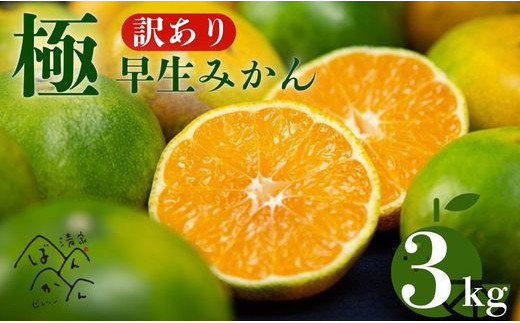 訳あり 極早生 愛媛みかん 3kg 2S から L サイズ サイズミックス 温州みかん 柑橘 愛媛 みかん 一番みかん 柑橘 みかん 少量 お試し 試供品 7000円 みかん mikan 蜜柑 ミカン 産地直送 国産 農家直送 糖度 期間限定 数量限定 特産品 ゼリー ジュース アイス 人気 甘い フルーツ 果物 柑橘 ビタミン 愛媛県 愛南町 清家ばんかんビレッジ
