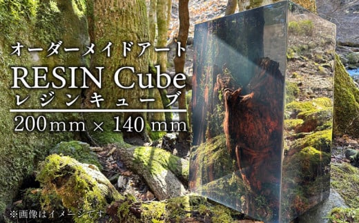 オーダーメイド アート RESIN Cube 200mm×140ｍｍ インテリア レジン キューブ 自然 静岡県 沼津市 ホテルライク 会社 デザイナー アーティスト おしゃれ 美しい 芸術 置物 玄関