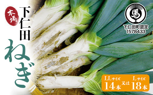下仁田の広大な畑が生む逸品 下仁田ねぎ（LL14本またはL18本） とろける 甘い ねぎ ネギ 王様ねぎ 殿様ねぎ 特産 栄養たっぷり ブランド 上州ねぎ すきやき F21K-068 850078 - 群馬県下仁田町