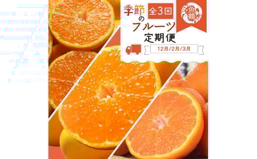 〈定期便〉【12・2・3月 全3回】紀州和歌山産旬の柑橘セット（田村みかん・はるみ・不知火） ※離島への配送不可
