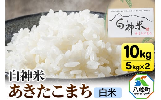 白神米 あきたこまち 秋田県産 10kg【白米】令和6年産 1434432 - 秋田県八峰町