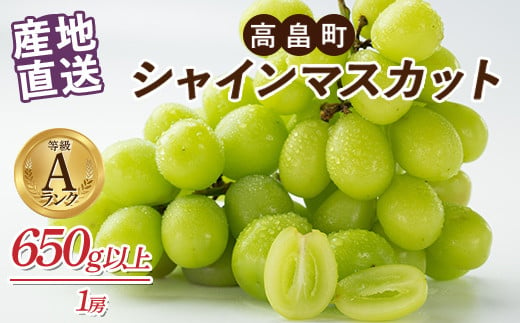 ≪先行予約≫2024年 山形県 高畠町産 シャインマスカット 箱詰 650g 以上(1房) 2024年9月下旬頃から順次発送 ぶどう ブドウ 葡萄 マスカット 大粒 種なし 高級 くだもの 果物 フルーツ 秋果実 産地直送 農家直送 数量限定 贈答 ギフト F21B-124 1452239 - 山形県高畠町