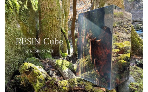 オーダーメイド アート RESIN Cube インテリア レジン キューブ 自然 静岡県 沼津市 ホテルライク 会社 デザイナー アーティスト おしゃれ 美しい 芸術 置物 玄関