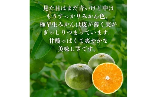 愛媛県愛南町のふるさと納税 【訳あり】愛媛みかん （ 極早生 ） 3kg【発送時期：９月下旬～１0月下旬】2S-Lサイズ サイズミックス 愛媛みかん 温州みかん 一番みかん 柑橘 みかん 少量 お試し 試供品 5000円 愛媛県 愛南町 清家ばんかんビレッジ