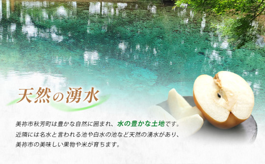 山口県美祢市のふるさと納税 ちょっと小さな あたご梨 4kg【先行予約：11月より発送予定】｜ 梨 あたご  なし フルーツ 果物 くだもの BIG ビッグ 大きい 特産品 美祢市 山口県 美祢 秋芳 秋芳町 カルスト台地 先行予約 期間限定 4kg