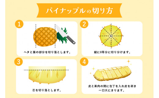 やんばるならではの広大なパイナップル畑の様子