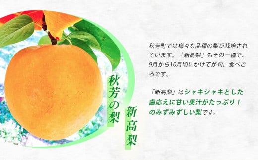 山口県美祢市のふるさと納税 二十世紀梨 （約3kg）【先行予約：9月上旬より発送予定】｜ 二十世紀  なし 梨 フルーツ 特産品 美祢市 美祢 山口県 山口 秋芳町 秋芳 カルスト台地 先行予約