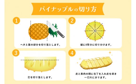 やんばるならではの広大なパイナップル畑の様子