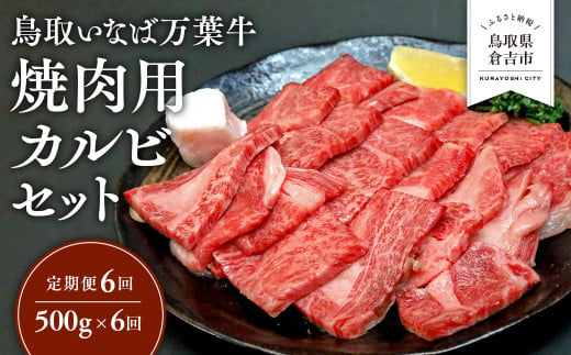 【定期便6回】 鳥取いなば万葉牛 焼肉用カルビセット 500g × 6回 鳥取和牛 国産 牛肉 和牛 黒毛和牛 カルビ セット 焼肉 焼き肉 肉 ブランド牛 冷凍 定期便 鳥取県 倉吉市 1440537 - 鳥取県倉吉市