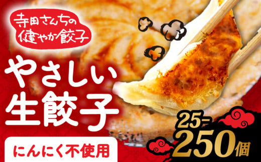 やさしい生餃子 250個 にんにく 不使用 ヘルシー 冷凍 餃子 ぎょうざ 国産野菜 おから 鶏肉 アボカド ヨーグルト 生餃子 ギョウザ ギョーザ 焼き餃子 水餃子 冷凍餃子 惣菜 夜ご飯 おかず 時短 大阪府 松原市 1453650 - 大阪府松原市