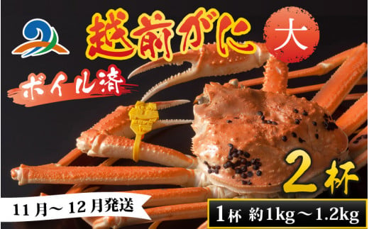 越前港より直送！ 越前がに 大 (約1kg～1.2kg) 2杯   718751 - 福井県南越前町