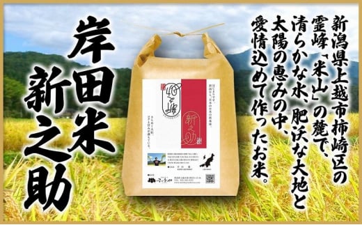 米 上越市柿崎区産 新之助 5kg お米 コメ おこめ 新潟 新潟県産 にいがた 上越 上越産 713581 - 新潟県上越市