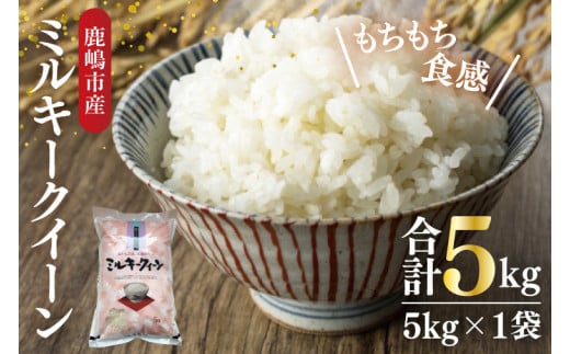 【令和6年産】鹿嶋市産ミルキークイーン(5kg×1袋)【お米 米 鹿嶋市 茨城県 白米 新米 おにぎり ごはん 15000円以内 】(KBS-8） 434808 - 茨城県鹿嶋市