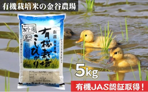 新潟県産JAS有機栽培米コシヒカリ 玄米5kg｜こしひかり コシヒカリ 米 お米 こめ おすすめ 人気 ふるさと納税 有機栽培 新潟 新潟県産 にいがた 上越 上越産 714719 - 新潟県上越市