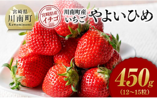 川南町産　いちご「やよいひめ」450ｇ【 期間限定 果物 イチゴ 苺 やよいひめ フルーツ 】