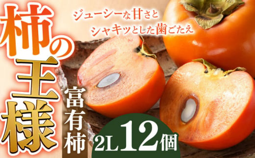 富有柿 2Ｌ 12個【2024年11月発送】 柿の王様 カキ 果物 岐阜市/JAぎふ [ANAO001] 479344 - 岐阜県岐阜市