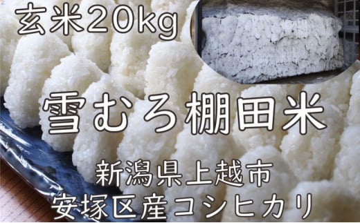 米 雪むろ 棚田米 コシヒカリ 20kg 玄米 こしひかり お米 こめ おすすめ ふるさと納税 ユキノハコ 新潟 新潟県産 にいがた 上越 上越産 713264 - 新潟県上越市