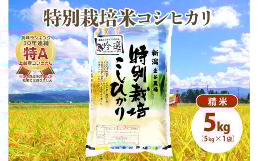 米 令和5年産|新潟上越三和産|特別栽培米コシヒカリ(従来種)5kg(5kg×1)精米 お米 こめ 白米 こしひかり 1125993 - 新潟県上越市