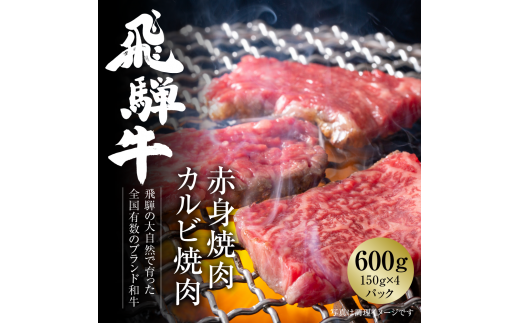 飛騨牛 焼肉 厳選2種盛（赤身・カルビ） 600g（150g×各2パック） 冷凍真空パック | 肉 お肉 焼肉 焼き肉 やきにく 黒毛和牛 和牛 個包装 小分け 人気 おすすめ 牛肉 ギフト お取り寄せ 7日以内お届け [S837] 1455185 - 岐阜県白川村