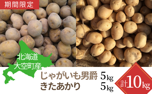 【期間限定】北海道大空町産じゃがいも10kg 【 ふるさと納税 人気 おすすめ ランキング じゃがいも ジャガイモ いも 芋 男爵 きたあかり カレー 北海道産 野菜 旬 北海道 大空町 送料無料 】 OSA040 1434662 - 北海道大空町