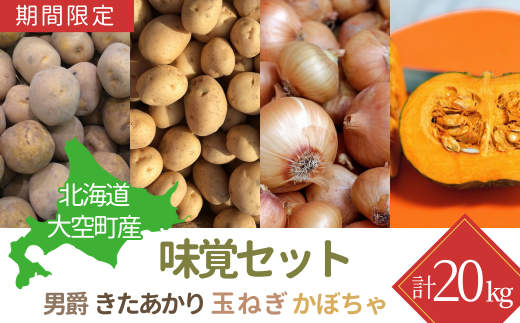 【期間限定】北海道大空町産味覚セット 計20kg 【 ふるさと納税 人気 おすすめ ランキング じゃがいも ジャガイモ いも 芋 男爵 きたあかり たまねぎ 玉ねぎ 南瓜 かぼちゃ カボチャ 甘い カレー 北海道産 野菜 旬 北海道 大空町 送料無料 】 OSA046 1434668 - 北海道大空町