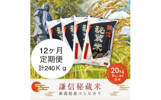 定期便12ヶ月連続発送（20kg×12回分）20kg 米 新潟県産 コシヒカリ  精白米 謙信秘蔵米  お米  こめ コメ おこめ おすすめ こしひかり 新潟 にいがた 新潟米 上越 上越産 上越米 ふるさと納税 定期便 上杉謙信 人気 713904 - 新潟県上越市