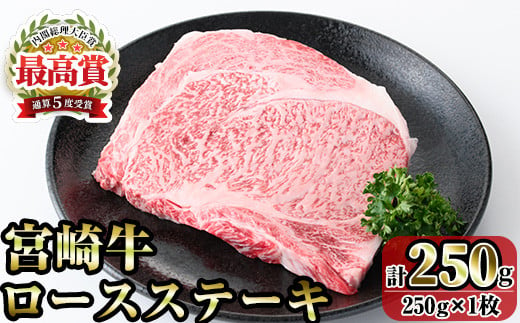 宮崎牛ロースステーキ(250g) お肉 牛肉 黒毛和牛 ブランド和牛 冷凍 国産 焼肉 BBQ [R-88][ミヤチク]