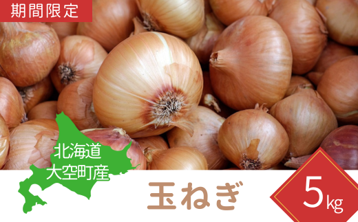 【期間限定】北海道大空町産玉ねぎ5kg 【 ふるさと納税 人気 おすすめ ランキング たまねぎ 玉ねぎ 5kg 甘い カレー 北海道産 野菜 旬 北海道 大空町 送料無料 】 OSA039 1434661 - 北海道大空町