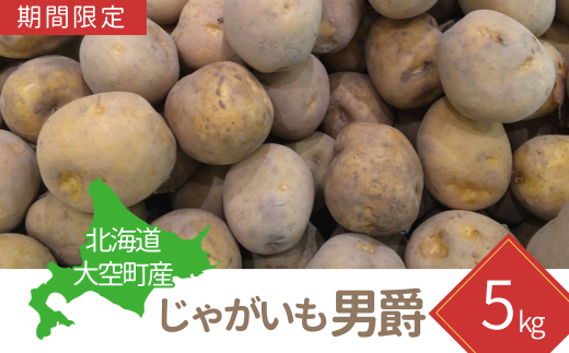 【期間限定】北海道大空町産じゃがいも（男爵）5kg 【 ふるさと納税 人気 おすすめ ランキング じゃがいも ジャガイモ いも 芋 男爵 5kg カレー 北海道産 野菜 旬 北海道 大空町 送料無料 】 OSA035 1434645 - 北海道大空町