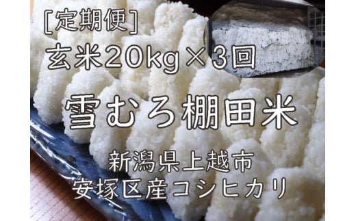 定期便 3ヶ月 雪むろ 棚田米 コシヒカリ 20kg 玄米 [定期便]毎月発送(計3回) こしひかり 米 お米 こめ おすすめ ユキノハコ 新潟 新潟県産 にいがた 上越 上越産 713782 - 新潟県上越市