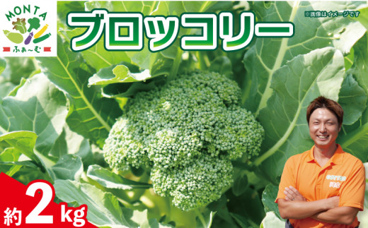 【 先行予約 】 ブロッコリー 約 2kg 野菜 朝どれ 産地直送 栄養満点 ビタミン豊富 徳島県 阿波市 1323667 - 徳島県阿波市