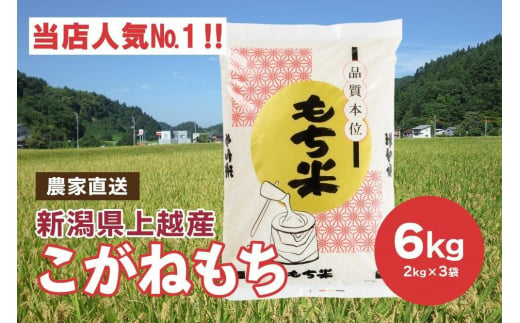 ブランドもち米「 こがねもち 」令和6年産／【精米6kg（2kg×3袋）】コガネモチ 米 お米 こめ 新潟 上越 714046 - 新潟県上越市