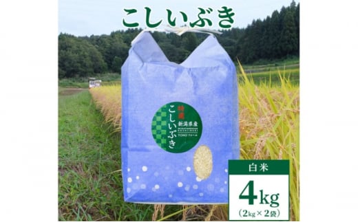 令和5年産【数量限定】新潟上越清里東戸野産　新潟県限定品種こしいぶき4kg（2kg×2） 白米 おすすめ 新潟