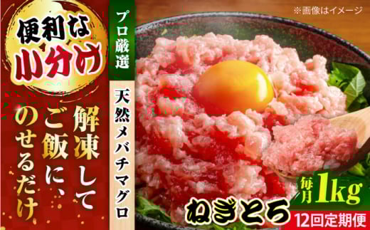 【全12回定期便】まぐろ ねぎとろ 約1kg（約250g×4パック） 鮪 マグロ 魚 ネギトロ 横須賀【横須賀商工会議所 おもてなしギフト事務局（本まぐろ直売所）】 [AKAK037] 1528986 - 神奈川県横須賀市