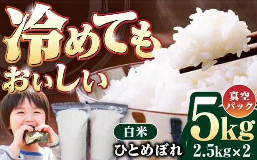 岐阜市産 ひとめぼれ 白米 5kg【2.5kg×2P】 お米 コメ 5キロ 岐阜市/農事組合法人　下城田寺営農 [ANEP005] 1400482 - 岐阜県岐阜市