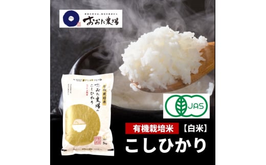 米 【令和6年産】 新潟県上越産 有機栽培米 コシヒカリ 【白米】 5kg×1袋 お米 こめ 白米 食品 人気 おすすめ にいがた 上越 上越産 1290312 - 新潟県上越市