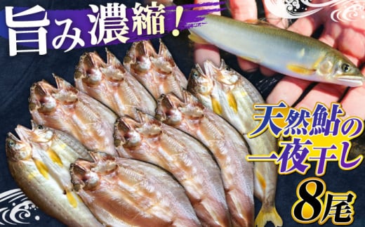 清流長良川 天然鮎 一夜干し 手作り 香魚 冷凍 岐阜市/天然鮎専門 結の舟 [ANBN002]