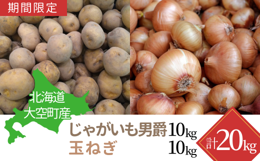 【期間限定】北海道大空町産じゃがいも（男爵）10kg・玉ねぎ10kg 計20kg 【 ふるさと納税 人気 おすすめ ランキング じゃがいも ジャガイモ いも 芋 男爵 たまねぎ 玉ねぎ 甘い カレー 北海道産 野菜 旬 北海道 大空町 送料無料 】 OSA043 1434665 - 北海道大空町