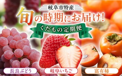 岐阜市特産 旬の時期にお届け くだもの定期便（（1）長良ぶどう デラウエア、（2）富有柿、（3）岐阜いちご 美濃娘1P）ブドウ カキ イチゴ 岐阜市/JAぎふ [ANAS011]