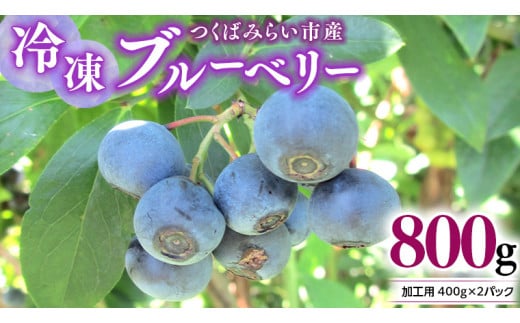 つくばみらい市 産 冷凍 ブルーベリー 800g ( 400g ×2パック ) 国産 農薬無使用 自家農場 果物 就労継続支援 フルーツ おいしい 冷凍ブルーベリー フリーズ