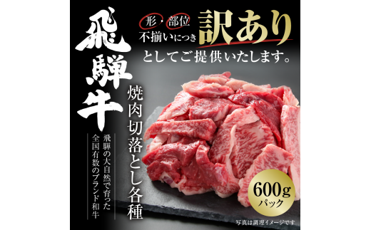 訳あり 飛騨牛 焼肉 切り落とし 600g 冷凍真空パック | 肉 お肉 切落し 不揃い 焼肉 焼き肉 やきにく 黒毛和牛 和牛 人気 おすすめ 牛肉 ギフト お取り寄せ 7日以内お届け [S842] 1455189 - 岐阜県白川村