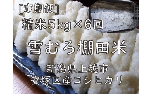 定期便 6ヶ月 雪むろ 棚田米 コシヒカリ 5kg 精白米 [定期便]毎月発送(計6回) こしひかり 米 お米 こめ おすすめ ユキノハコ 新潟 新潟県産 にいがた 上越 上越産 713771 - 新潟県上越市