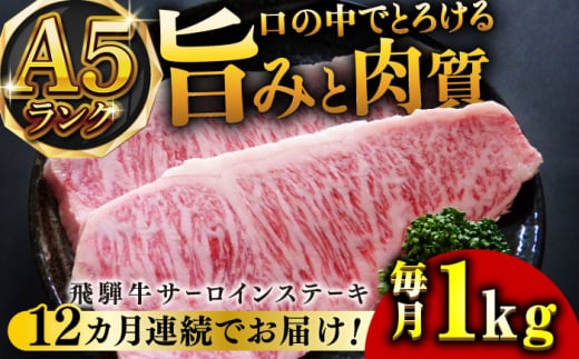 【12回定期便】A5等級飛騨牛サーロインステーキ用1kg 和牛 BBQ 霜降り 岐阜市/小川ミート [ANAJ012]