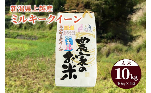 令和6年産「ミルキークイーン」新潟県上越産 玄米10kg(1袋) 714132 - 新潟県上越市