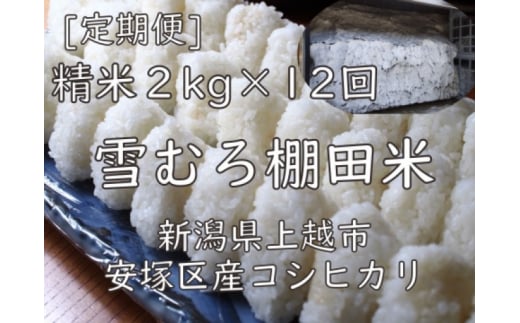 定期便 12ヶ月 雪むろ 棚田米 コシヒカリ 2kg 精白米 [定期便]毎月発送(計12回) こしひかり 米 お米 こめ おすすめ ユキノハコ 新潟 新潟県産 にいがた 上越 上越産 713776 - 新潟県上越市